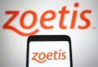 Zoetis Stock (NYSE:ZTS): Analis Dengan Suara Bulat Bullish Meskipun Jatuh Tahun Lalu